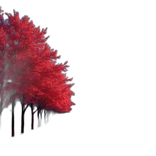 tree, umbrella, crown, hair transparent PNG cut-out