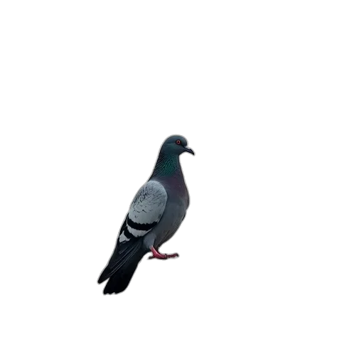 animal, weapon, robot, staff transparent PNG cut-out
