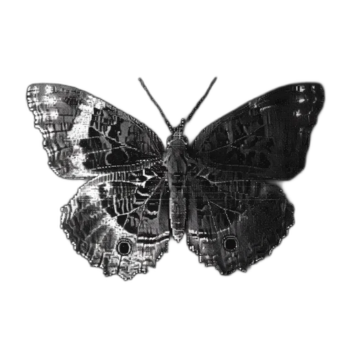animal, creature, crown, jewelry, photorealistic, 3d render, concept art, pencil sketch transparent PNG cut-out