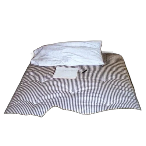 furniture, staff, umbrella, 3d render, photorealistic, monochrome, bed, white transparent PNG cut-out