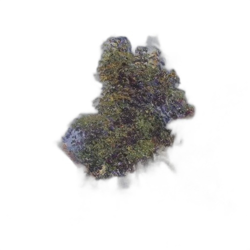 crown, tree, dragon, hair, 3d render, photorealistic, outer space, green transparent PNG cut-out