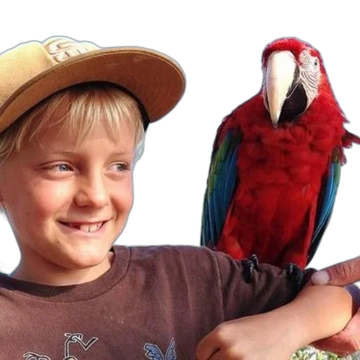 hat, animal, creature, face, photorealistic, young, boy, wearing transparent PNG cut-out