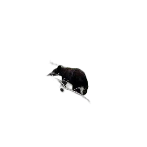 animal, creature, staff, dragon, photorealistic, pixel art, 3d render, black transparent PNG cut-out