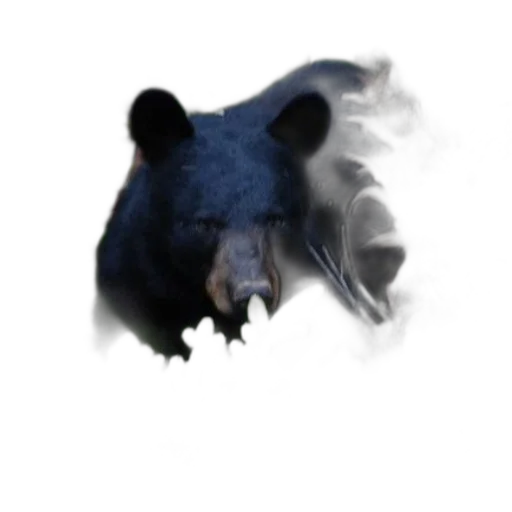 mask, animal, creature, face, concept art, photorealistic, 3d render, fantasy art transparent PNG cut-out