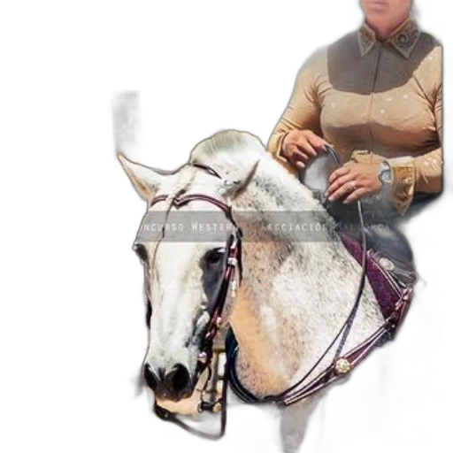 animal, staff, jewelry, jacket, photorealistic, oil painting, woman, brown transparent PNG cut-out