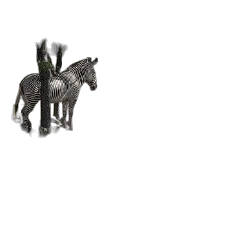 animal, dragon, creature, staff transparent PNG cut-out