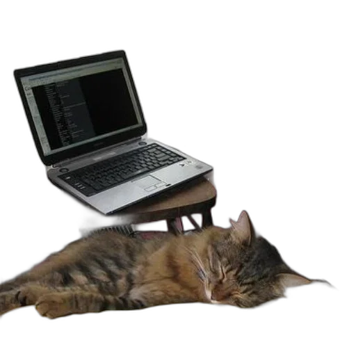 staff, furniture, animal, 3d render transparent PNG cut-out