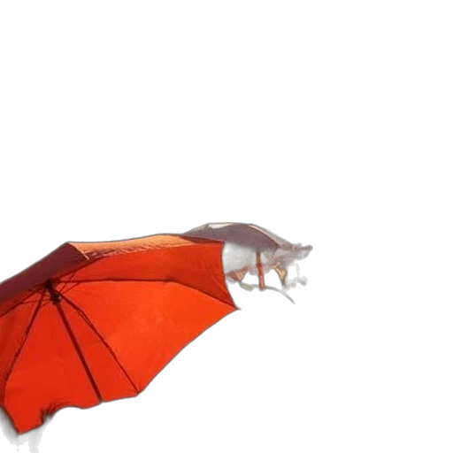 umbrella, dragon, animal, creature, 3d render, concept art, photorealistic, rain transparent PNG cut-out