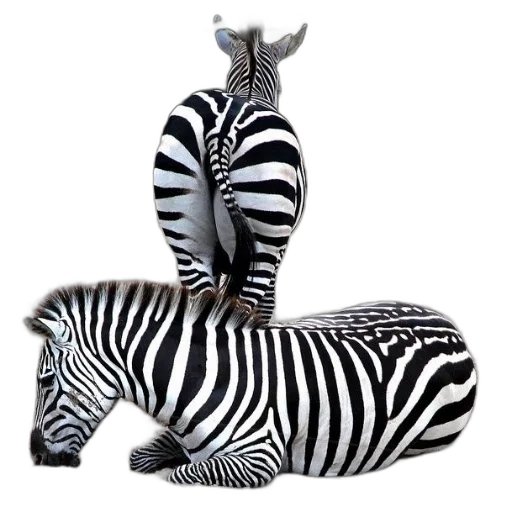 animal, jewelry, creature, 3d render, photorealistic, concept art, monochrome, two transparent PNG cut-out