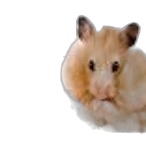 animal, creature, hair, face, photorealistic, concept art, 3d render, watercolor transparent PNG cut-out