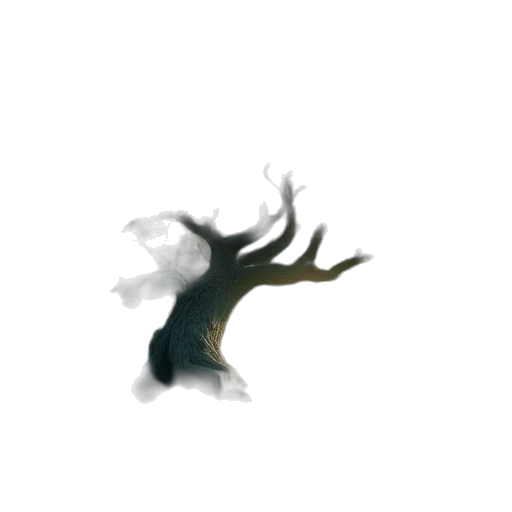 creature, dragon, crown, hair transparent PNG cut-out