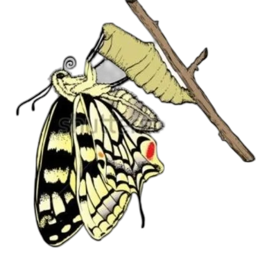 staff, animal, jewelry, crown, concept art, 3d render, photorealistic, watercolor transparent PNG cut-out