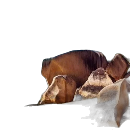 food, animal, mask, hair, photorealistic, concept art, 3d render, oil painting transparent PNG cut-out