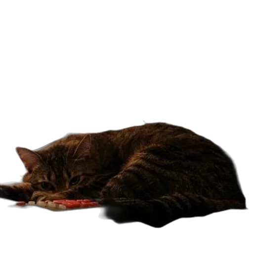 staff, animal, food, creature, photorealistic, 3d render, concept art, pixel art transparent PNG cut-out