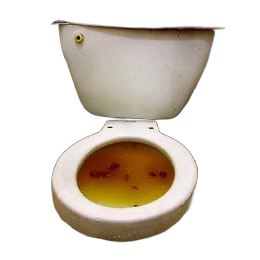 crown, food, jewelry, furniture, 3d render, photorealistic, dirty, toilet transparent PNG cut-out