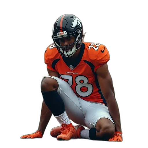 animal, weapon, denver, broncos transparent PNG cut-out