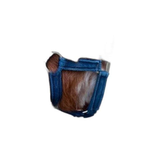 mask, hair, hat, staff transparent PNG cut-out