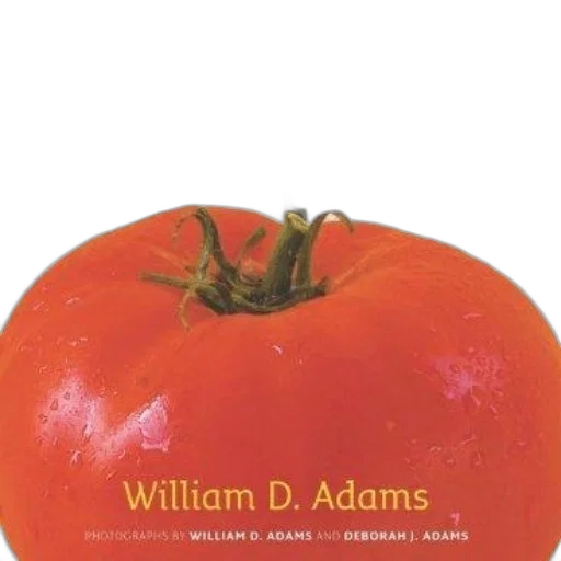 food, crown, weapon, photorealistic, texas, tomato, lover, handbook transparent PNG cut-out