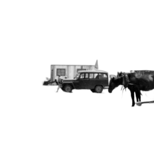 car, animal, weapon, staff transparent PNG cut-out
