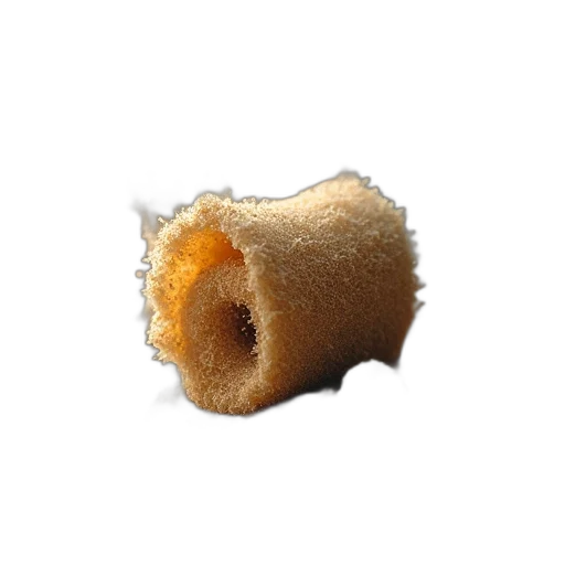 food, hair, staff, face transparent PNG cut-out