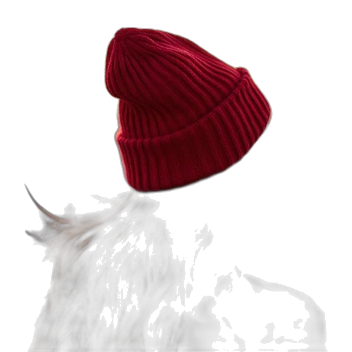 hat, animal, crown, creature transparent PNG cut-out