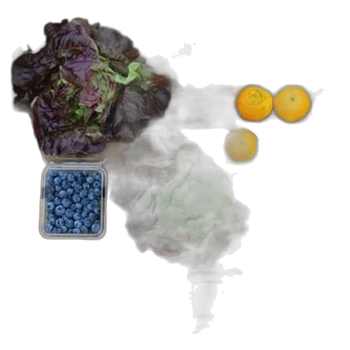 food, photorealistic, concept art, fog, variety, fresh, produce, including transparent PNG cut-out
