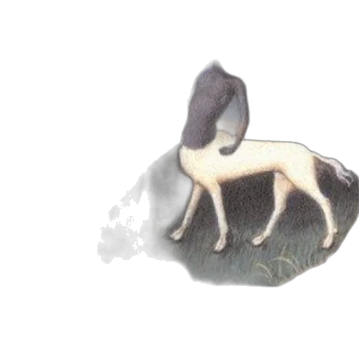 animal, creature, dragon, hair, 3d render, concept art, watercolor, photorealistic transparent PNG cut-out