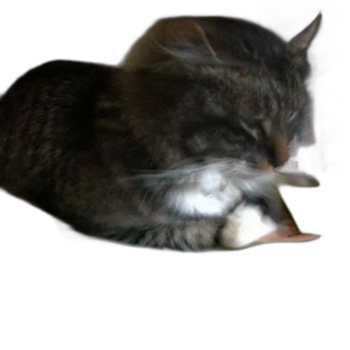 animal, food, creature, staff, photorealistic, 3d render, concept art, vaporwave transparent PNG cut-out