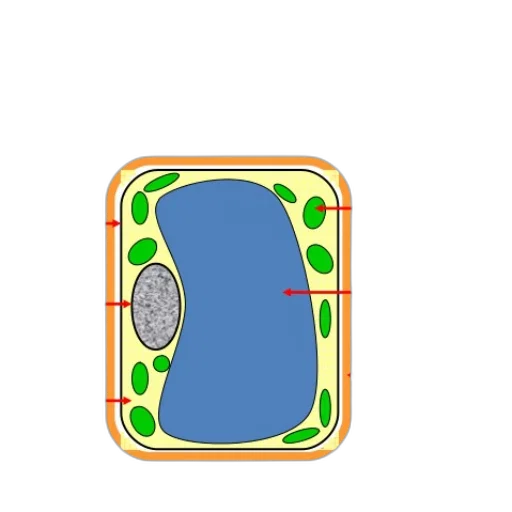 jewelry, food, crown, furniture, pixel art, 3d render, concept art, cartoon transparent PNG cut-out