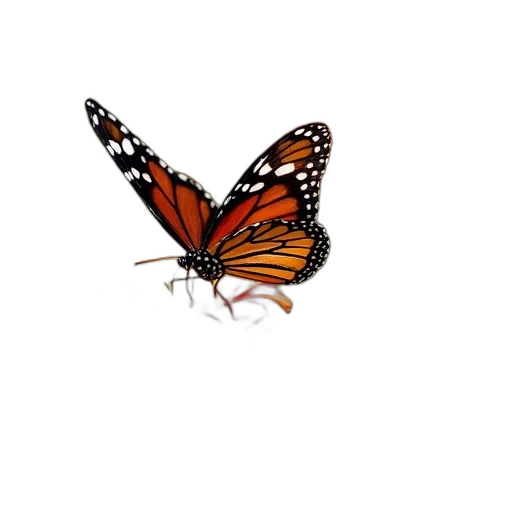 animal, creature, crown, flower, photorealistic, pixel art, watercolor, 3d render transparent PNG cut-out