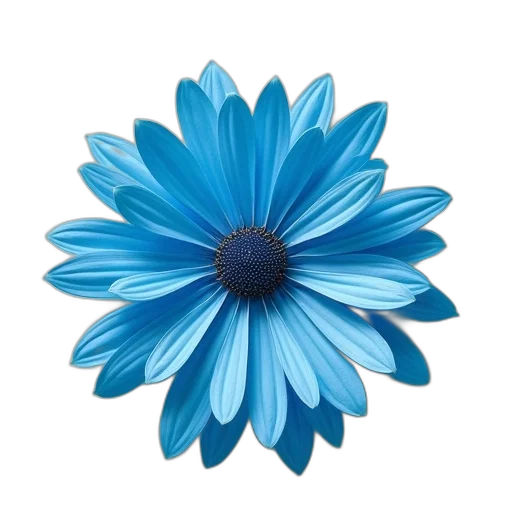 flower, jewelry, crown, staff transparent PNG cut-out