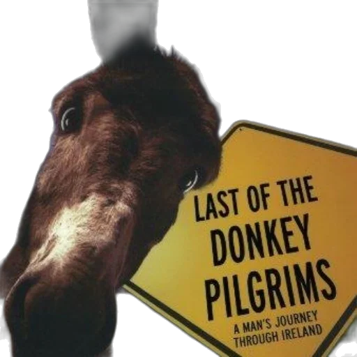 animal, last, donkey, pilgrims, man, journey, through, ireland transparent PNG cut-out