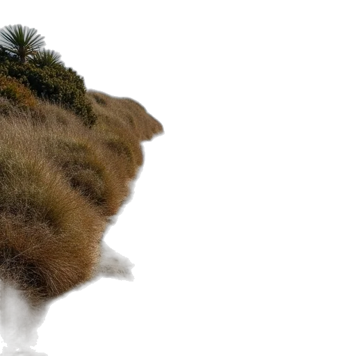 hair, creature, tree, mask transparent PNG cut-out