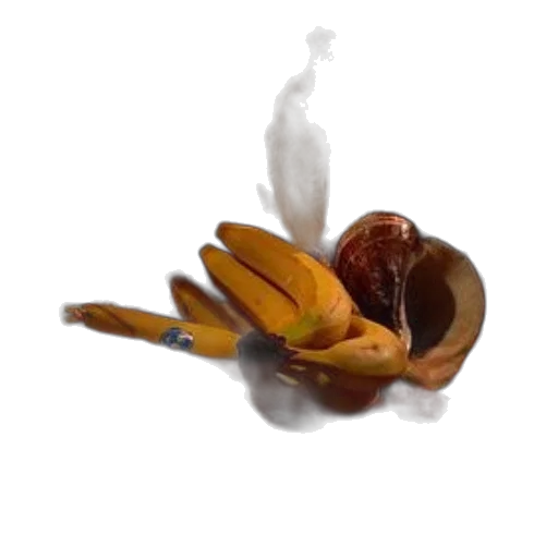 food, crown, weapon, flower, photorealistic, 3d render, concept art, oil painting transparent PNG cut-out