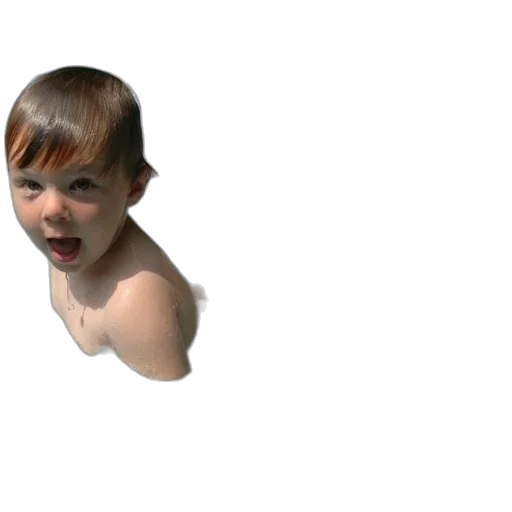 face, creature, hair, animal, 3d render, photorealistic, concept art, pixel art transparent PNG cut-out