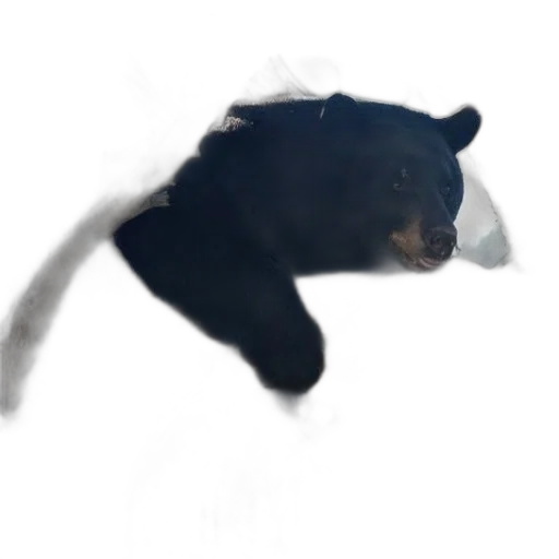 animal, creature, face, hat, photorealistic, concept art, 3d render, oil painting transparent PNG cut-out