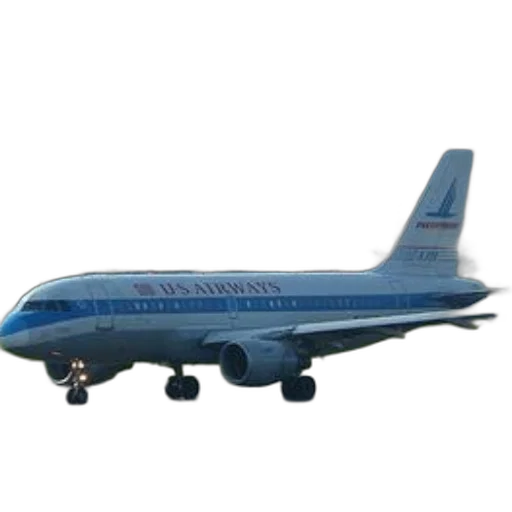 animal, staff, 3d render, photorealistic, airways, airplane, taxis, runway transparent PNG cut-out