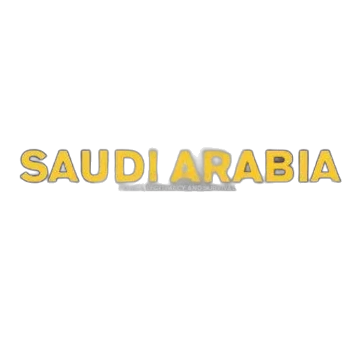 furniture, cover, saudi, arabia, power, legitimacy, survival, features transparent PNG cut-out