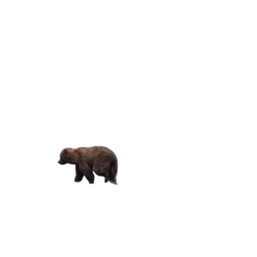 animal, creature, furniture, weapon, pixel art, 3d render, concept art, photorealistic transparent PNG cut-out
