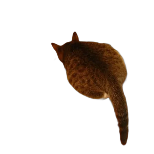 animal, staff, creature, hat, photorealistic, 3d render, concept art, pixel art transparent PNG cut-out