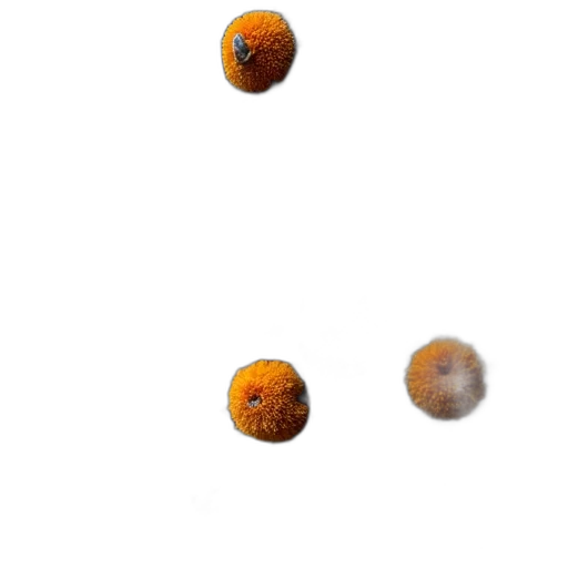 food, tree, jewelry, crown, 3d render, photorealistic, concept art, outer space transparent PNG cut-out