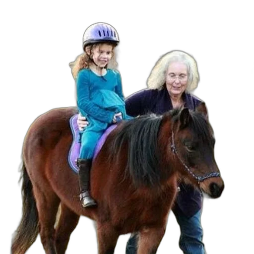 animal, young, girl, blue, dress, rides, brown, pony transparent PNG cut-out