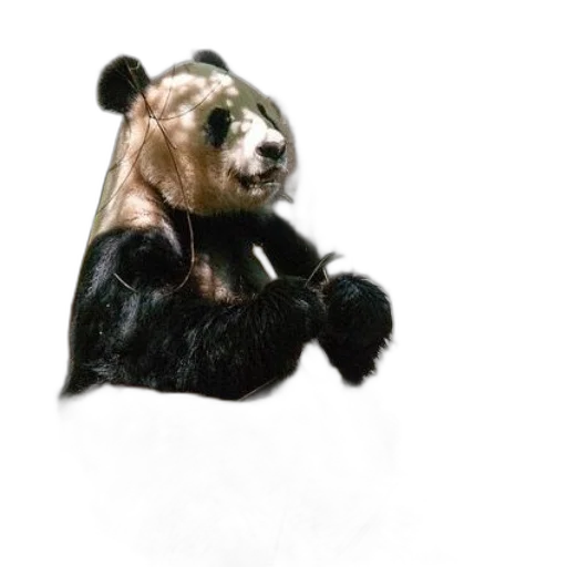 animal, staff, creature, photorealistic, concept art, 3d render, oil painting, giant transparent PNG cut-out