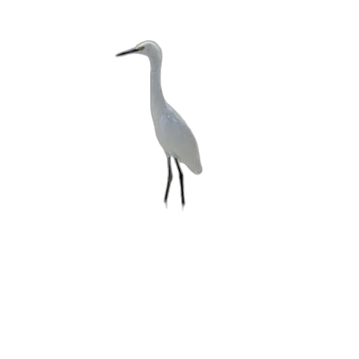 animal, creature, staff, dragon, 3d render, concept art, photorealistic, pixel art transparent PNG cut-out