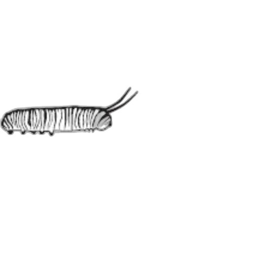 hair, animal, creature, staff, concept art, photorealistic, pencil sketch, cartoon transparent PNG cut-out