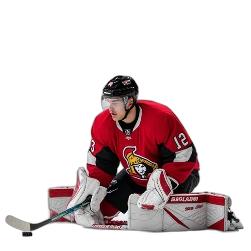 animal, robot, ottawa, senators transparent PNG cut-out