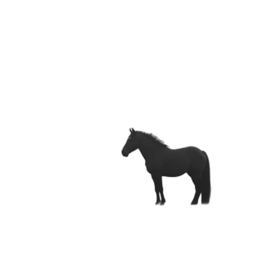 animal, creature, staff, hair transparent PNG cut-out