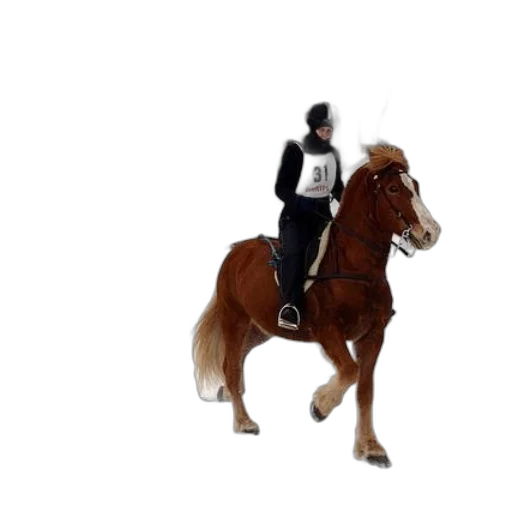 animal, jacket, staff, concept art, 3d render, photorealistic, pixel art, person transparent PNG cut-out