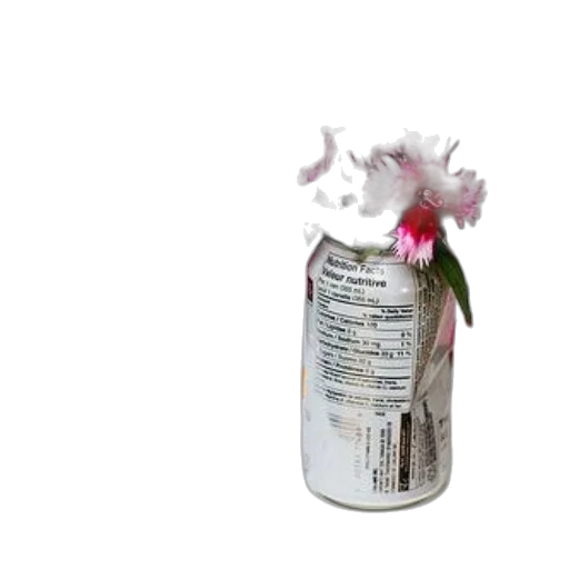 bottle, flower, food, weapon, 3d render, photorealistic, concept art, creative transparent PNG cut-out