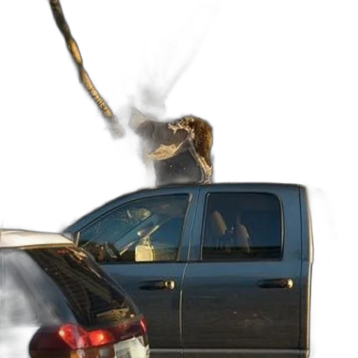 car, staff, weapon, animal, fire, dog, standing, hood transparent PNG cut-out